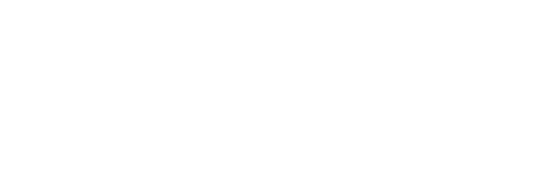 DL Multimedia